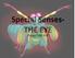 Special Senses- THE EYE. Pages
