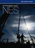 NES GLOBAL TALENT NES. Oil and Gas Satisfaction Survey. 1 Section or Brochure name