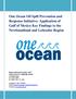 One Ocean Oil Spill Prevention and Response Initiative: Application of Gulf of Mexico Key Findings to the Newfoundland and Labrador Region