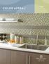 COLOR APPEAL GLASS WALL & MOSAIC GLASS SOLIDS & BLENDS / GLASS & NATURAL STONE BLENDS WALL