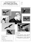 Second Term Extra Credit: Bald Eagle Field Study America s most prestigious bird of prey