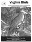 A quarterly journal of ornithological sightings in the Commonwealth published by the Virginia Society of Ornithology