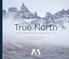 True North THE CAMPAIGN TO GO WORLD-CLASS FAST. The sooner we have your support, the faster we can go