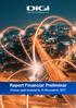 Raport Financiar Preliminar