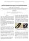 Spall size estimation in bearing races based on vibration analysis