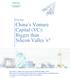 Private Equity. China s Venture Capital (VC): Bigger than Silicon Valley s?