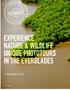 EXPERIENCE NATURE & WILDLIFE UNIQUE PHOTOTOURS IN THE EVERGLADES