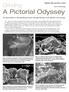 A Pictorial Odyssey. Grinding: An examination of the grinding process through the lens of an electron microscope. By Dr.
