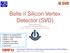 Belle II Silicon Vertex Detector (SVD)