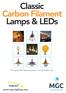 Classic Carbon Filament Lamps & LEDs