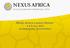 NEXUS AFRICA LAUNCH REPORT 6 & 8 JULY 2013 JOHANNESBURG, SOUTH AFRICA