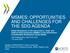 MSMES: OPPORTUNITIES AND CHALLENGES FOR THE SDG AGENDA
