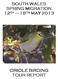 SOUTH WALES SPRING MIGRATION 12 TH 18 TH MAY 2013