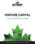 VENTURE CAPITAL. A Guide to Understanding Venture Capital