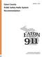 Eaton County Public Safety Radio System Recommendation