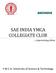 SAE INDIA YMCA COLLEGIATE CLUB.improvising ideas