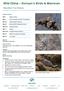 Wild China Sichuan s Birds & Mammals