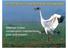 An example of the single species approach: Siberian Crane conservation mechanisms past and present