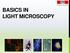 BASICS IN BIOIMAGING AND OPTICS PLATFORM EPFL SV PTBIOP LIGHT MICROSCOPY