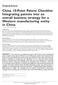 China 10-Point Patent Checklist: Integrating patents into an overall business strategy for a Western manufacturing entity in China