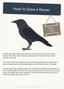 How to Draw a Raven. EasyDrawingGuides.com. Easy Fast