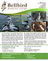 Kangaroo Island. 4-day birding & wildlife tour 4-7 April 2017 & 30 Oct - 2 Nov. 2017
