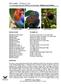 Sri Lanka Birding in style A 17 day birding holiday with a difference wth Amila Salgado - Birdwing Nature Holidays