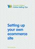 Setting up your own ecommerce site Setting up your own ecommerce site