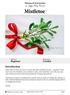 Mistletoe. Introduction. Patterns & Instructions. by Happy PattyCrochet