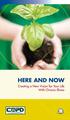 HERE AND NOW. Creating a New Vision for Your Life With Chronic Illness