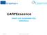 CARPEessence. Smart and Sustainable City Definitions