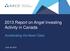 2013 Report on Angel Investing Activity in Canada