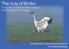 The «Lily of Birds» A Journey To Help the Most Unique and Endangered of Cranes. The Siberian Crane Memorandum of Understanding