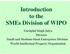 Introduction to the SMEs Division of WIPO