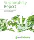 Sustainability Report. A Summary of the Sustainability