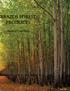 BRAZOS FOREST PRODUCTS PRODUCT LISTINGS