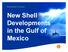 Shell Exploration & Production. New Shell Developments in the Gulf of Mexico