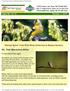 Issue No October 1, Nature News from Wild Birds Unlimited at Moana Nursery