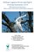 Bolinas Lagoon Heron and Egret Nesting Summary 2014