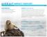 2016&2017 IMPACT REPORT Guided and inspired by a shared vision of a healthy ocean for marine mammals and humans alike