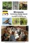 Minnesota: Connecticut Warbler Special June 11-14, 2015 Trip Report & Species List