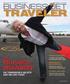 RICHARD BRANSON ON TOMORROW S BIZJETS AND HIS LIFE TODAY SIR DINING DISCOVERIES BOMBARDIER S CHALLENGER 350 EXTREME VACATIONS