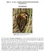 APRIL 15 30, 2017 NATURAL HISTORY NOTES FOR EASTVIEW By Dick Harlow YELLOW RAIL