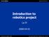 Introduction to robotics project