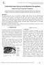 Critical Literature Survey on Iris Biometric Recognition