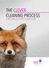 THE CLEVER CLEANING PROCESS FROM A CHAMPION OF SURFACE CLEANING SYSTEMS