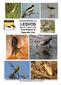 Sunrise Birding LLC LESVOS April 25 May 2, 2015 Trip Report & Species List