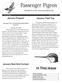 Passenger Pigeon. In This Issue. Newsletter of the Cincinnati Bird Club. January Program. January Field Trip. January Best Bird Contest