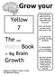 Grow your. Yellow 7. The wee Maths Book. Growth. of Big Brain. Guaranteed to make your brain grow, just add some effort and hard work