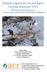 Bolinas Lagoon Heron and Egret Nesting Summary 2015